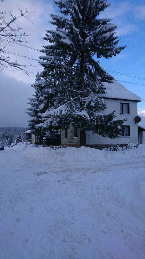 Haus Hasenmueller Apartment Schmiedefeld am Rennsteig Exterior photo